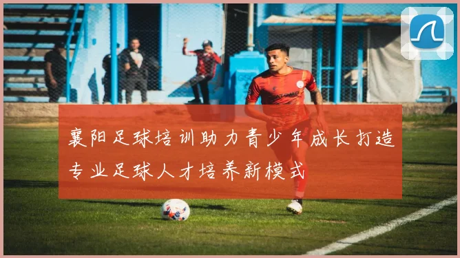 襄阳足球培训助力青少年成长打造专业足球人才培养新模式