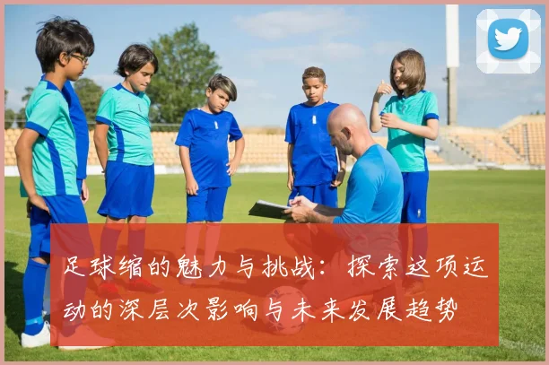 足球缩的魅力与挑战：探索这项运动的深层次影响与未来发展趋势
