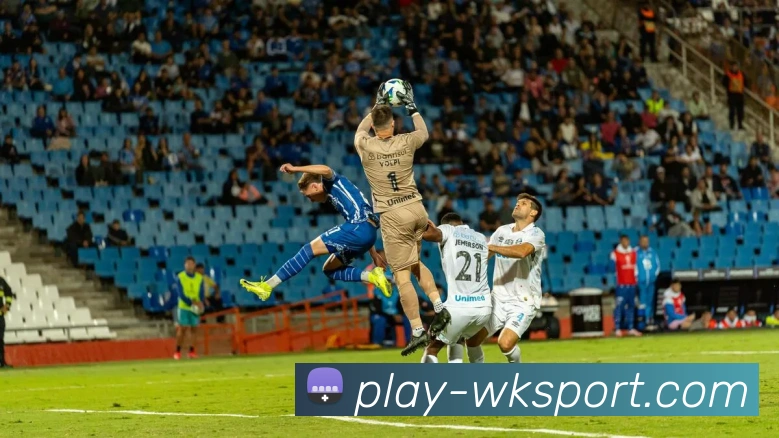 悟空体育平台平台生态图